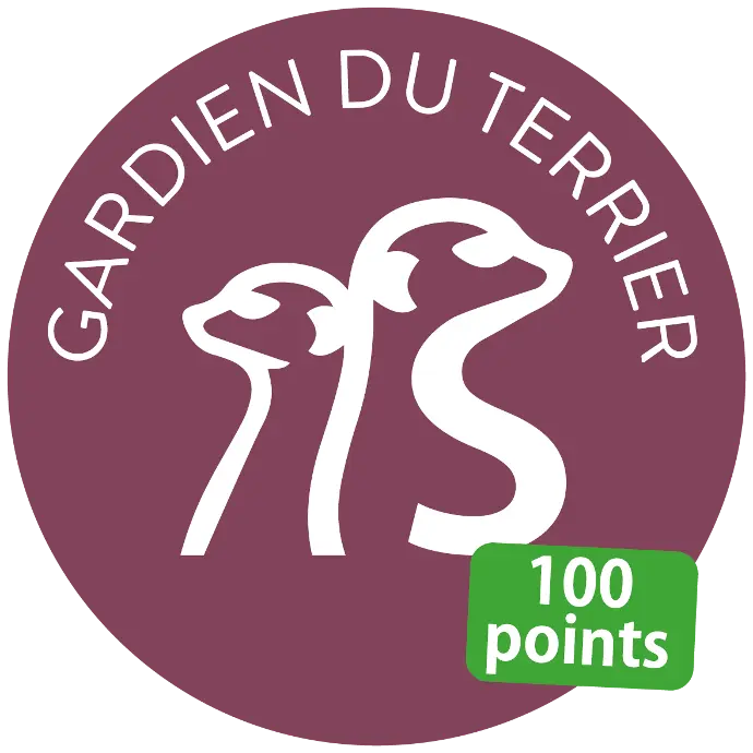 Gardien du terrier